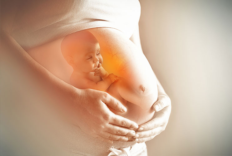 Fertilidade &ndash; Cl&iacute;nica Maternare